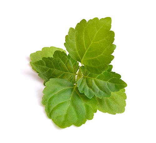 US Organic Patchouli Essential Oil with herbs and flowers