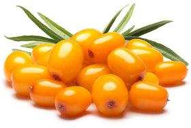 US Organic Sea Buckthorn Berry Oil 30ml lifestyle scene on a bathroom counter