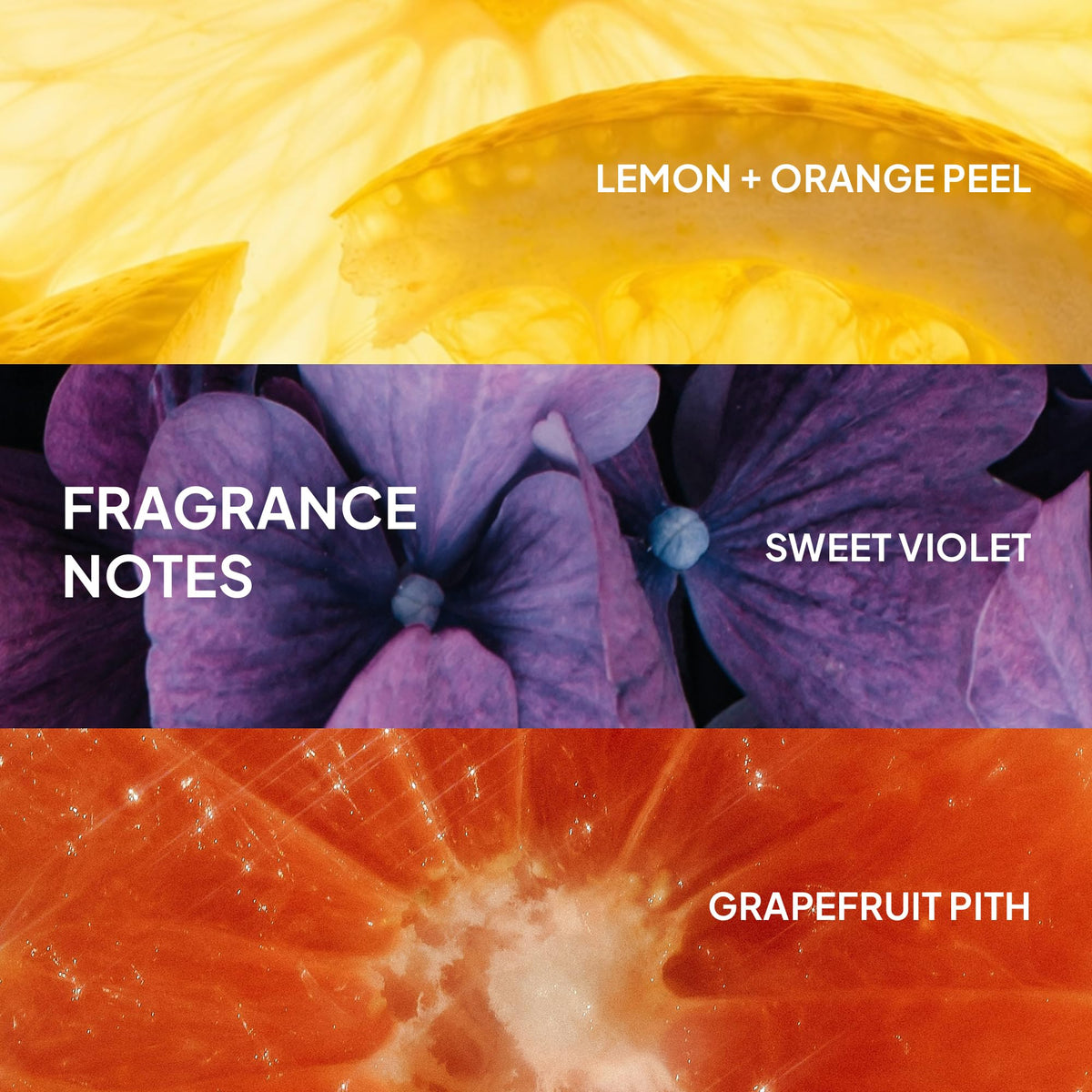 VERB Ghost Shampoo application on wet hair