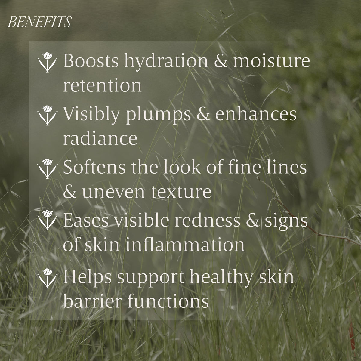 Verli Hydrating Face Serum back view with label