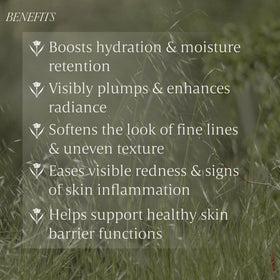 Verli Hydrating Face Serum back view with label
