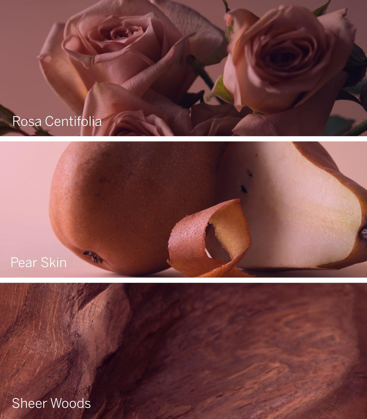 Victoria's Secret Bare Rose lotion texture on skin