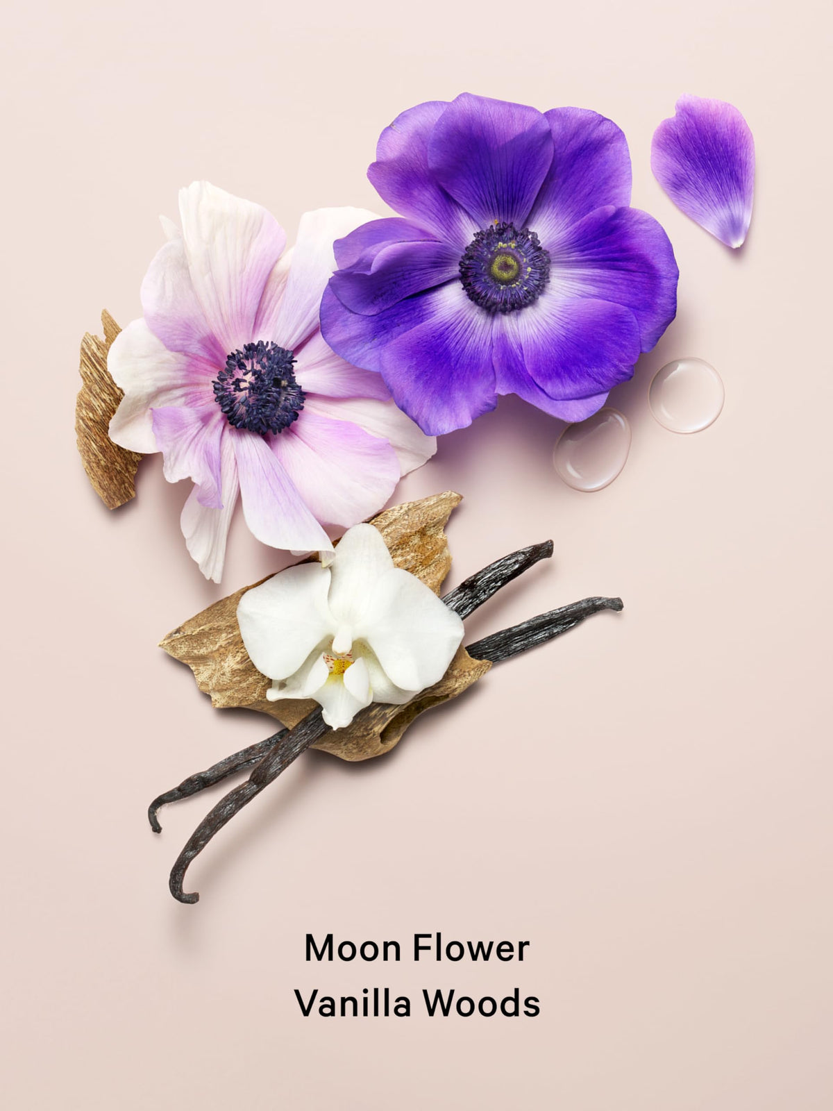 Victoria's Secret Midnight Bloom Body Lotion texture close-up