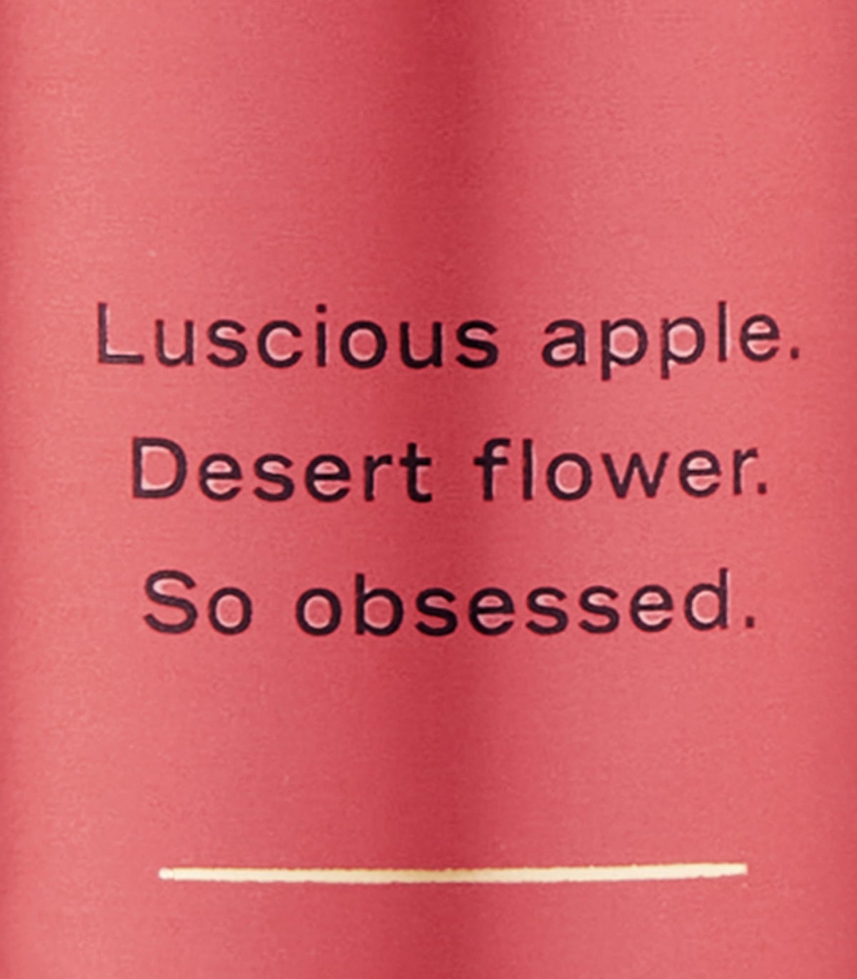 Victoria's Secret Temptation Body Mist packaging with floral design