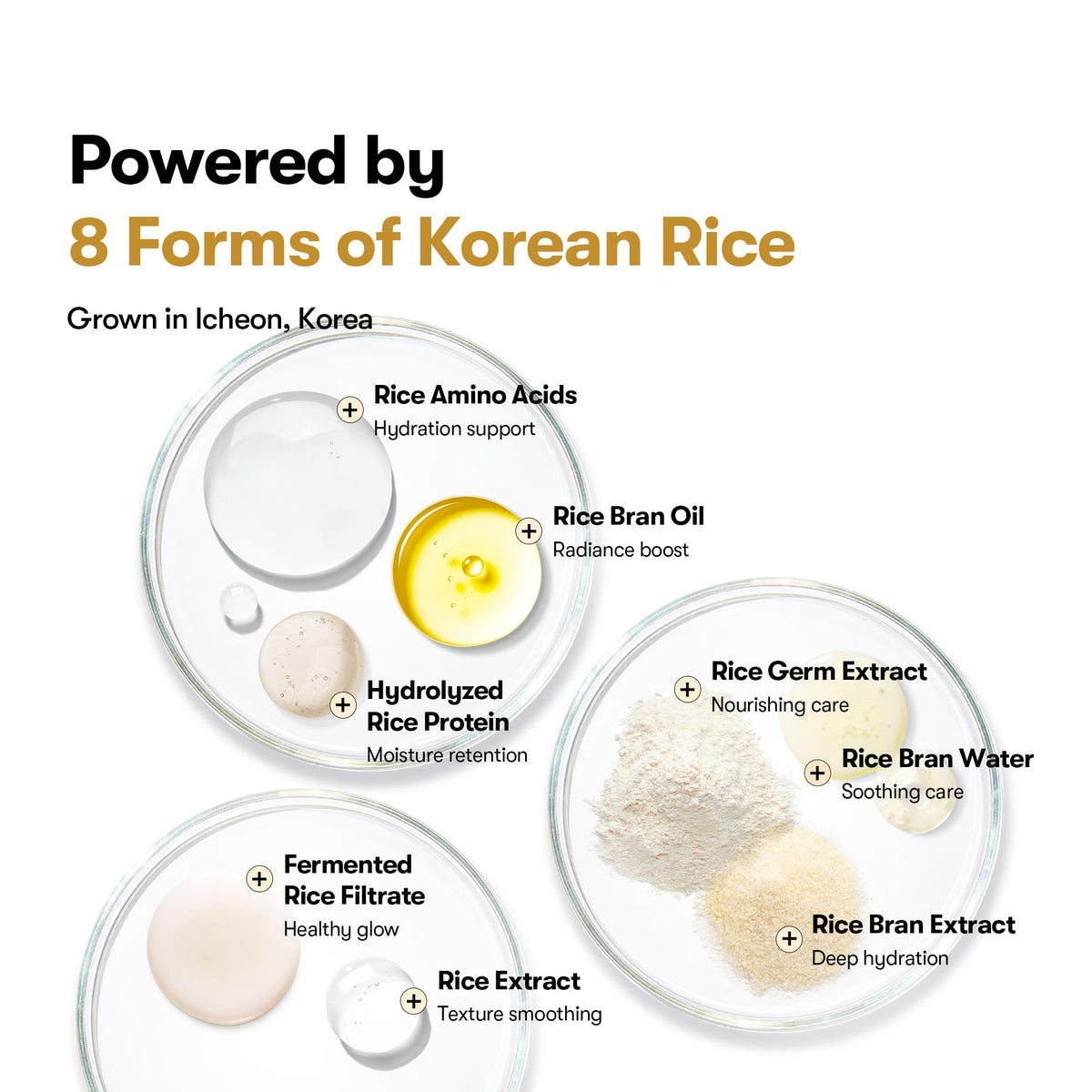 VT COSMETICS Rice Ceramide Serum application on skin