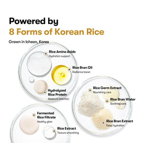 VT COSMETICS Rice Ceramide Serum application on skin