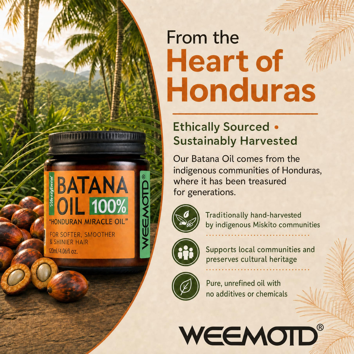 WEEMOTD Raw Batana Oil with natural background