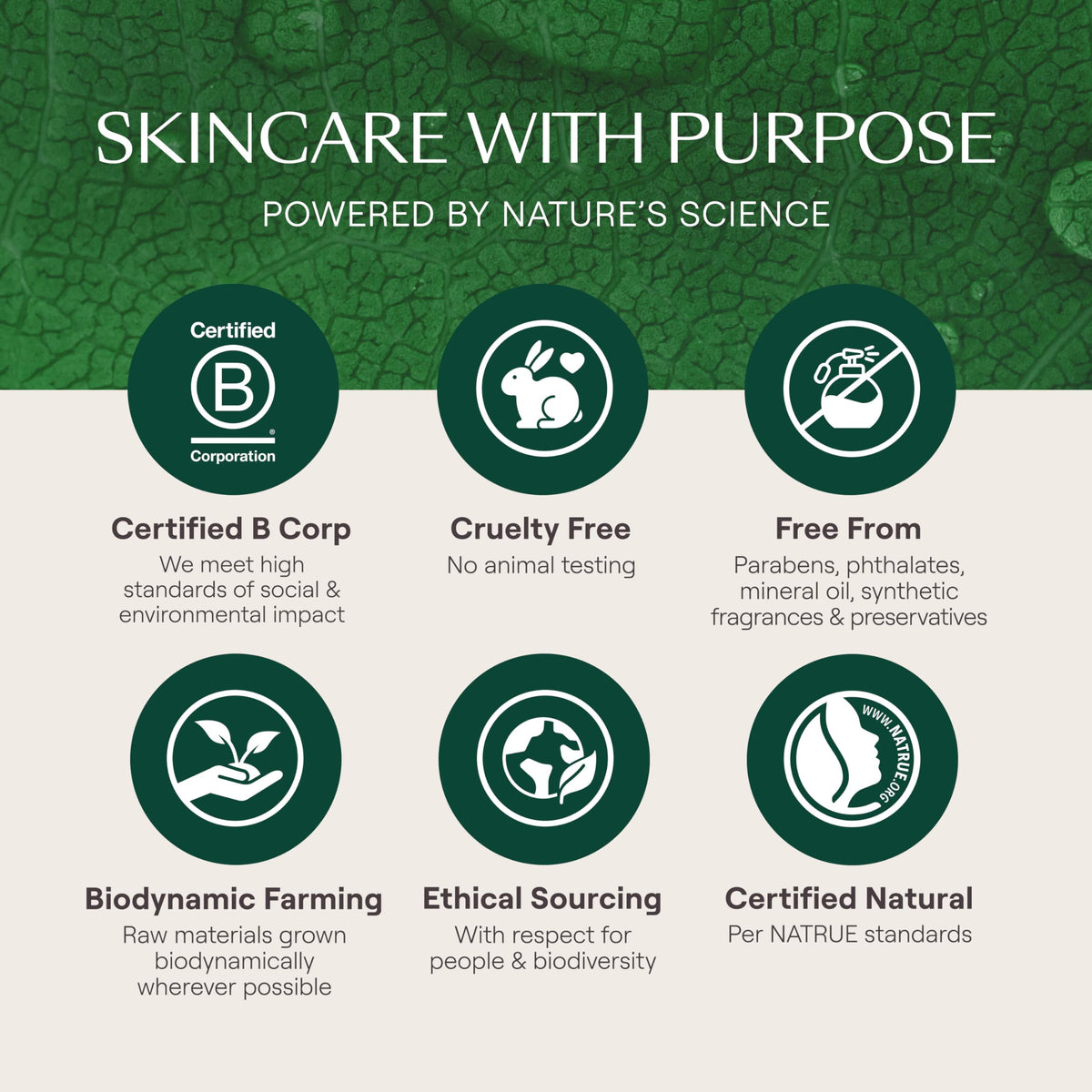 Weleda Skin Food Light Moisturizing Cream application on face