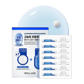 WELLAGE Real Hyaluronic Acid Hydrate One Day Kit front view with packaging