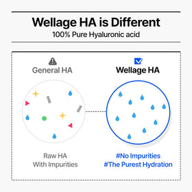 WELLAGE Real Hyaluronic Blue Ampoule 100 in a skincare routine
