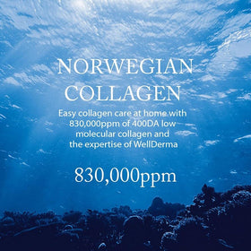 WELLDERMA Sapphire Collagen Impact Hydrogel Mask texture