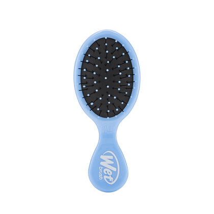 Wet Brush Mini Detangler Sky front view