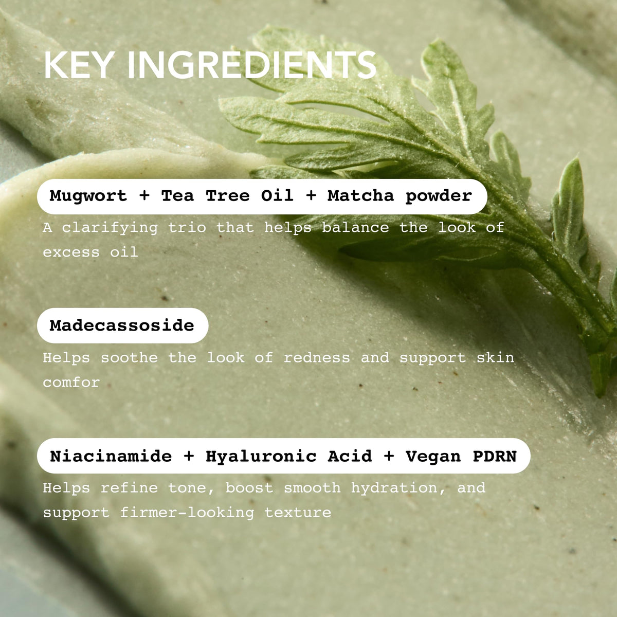 Whipped Korean Face Wash with matcha and tea tree ingredients