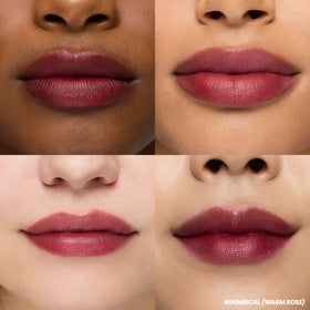 Wonderskin Lip Stain Kit applicator close-up