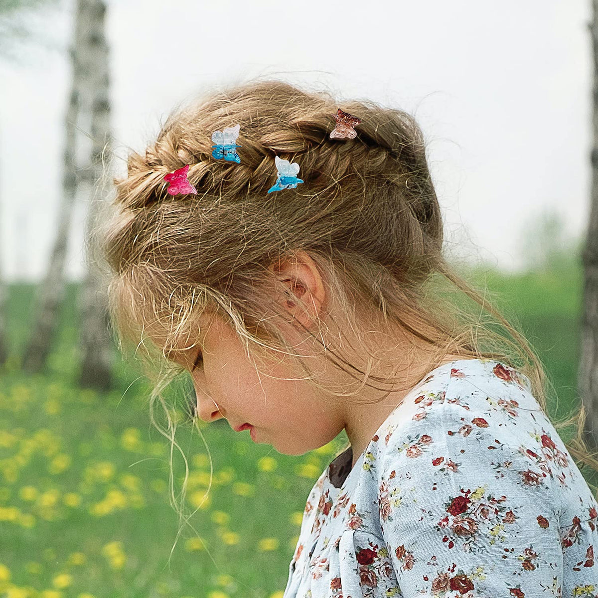XIEHE butterfly hair clips arranged by colour