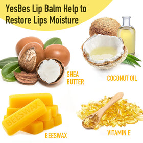 YesBes Lip Balm packaging with 64 pieces