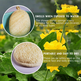 YIQINGJIE Natural Loofah Sponge in packaging with small hook