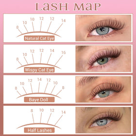zanlufly brown lash clusters packaging