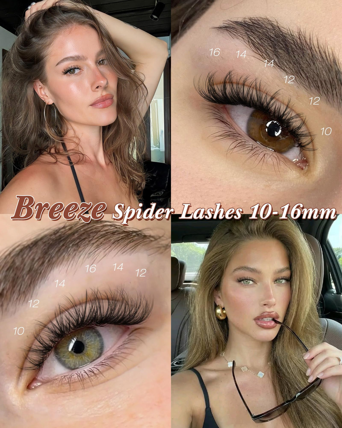 zenotti Spider Lash Clusters showing the invisible band